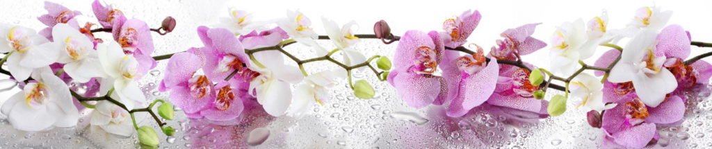 образцы кухонных фартуков с фотопечатью на заказ